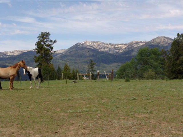 Main View