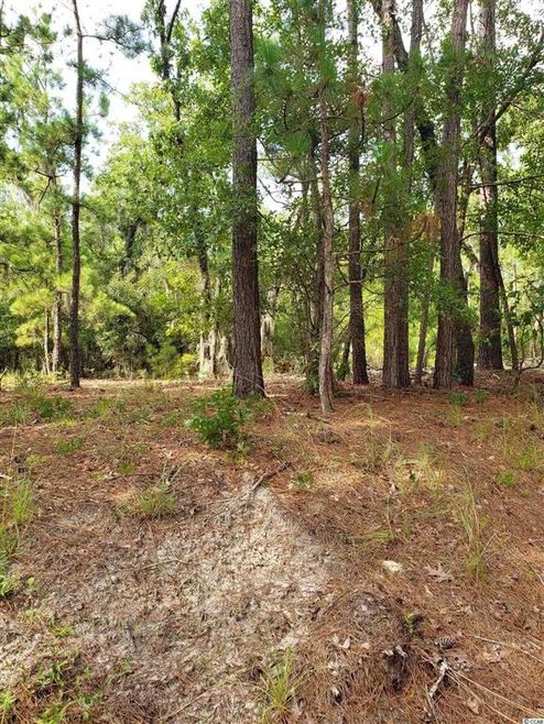 TBD Whispering Woods Rd, Conway, SC 29526 - photo 1