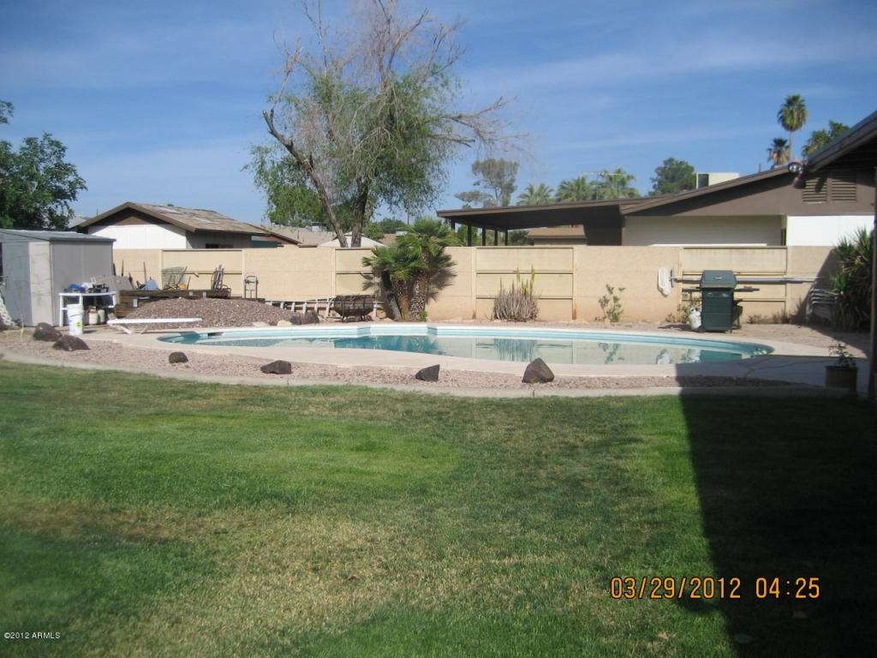 Backyard and pool