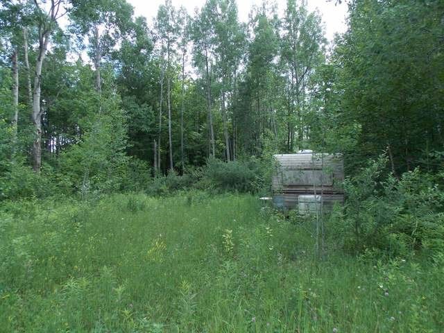 ON N Hoover Ave, Harrison, MI 48625 - photo 1