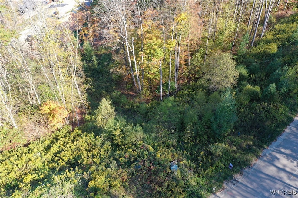 20 Fresh Tracks Way unit 20, Mansfield, NY 14731 - photo 1