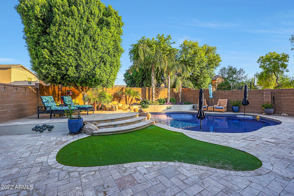 Backyard Oasis