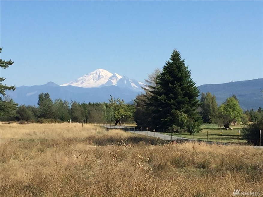 5377 Noon Rd, Bellingham, WA 98226 - photo 1