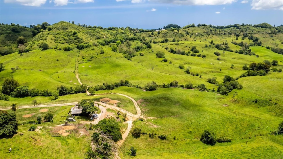 Km 1.6 633, Morovis, PR 00687 - photo 1