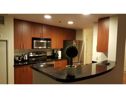 180 W Brookline St unit 6-2, Boston, MA 02118 - photo 1