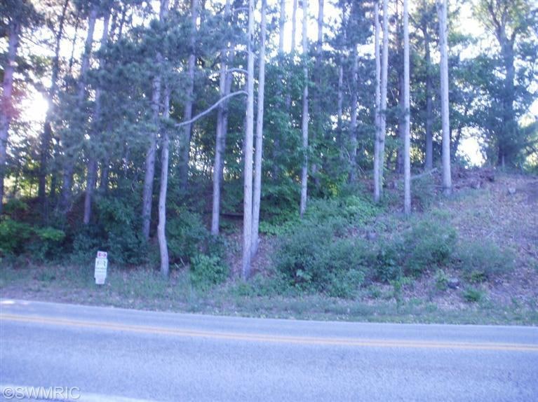 Primary Photo