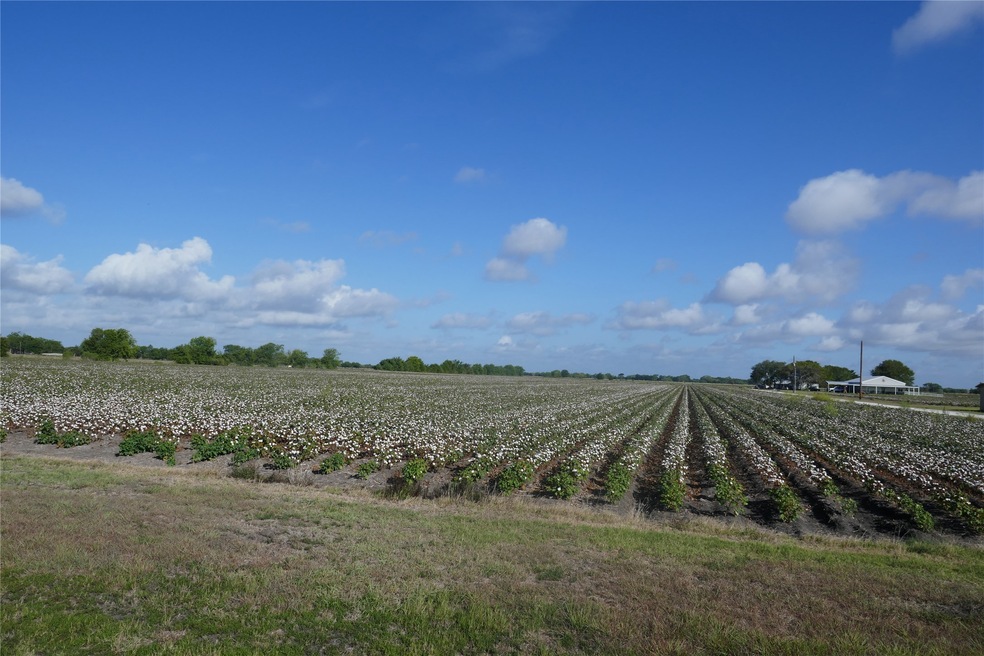 0 Pleasant Rd, Needville, TX 77461 - photo 1