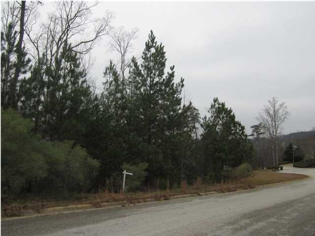 Wonderful lot with views of Lake Tuscaloosa