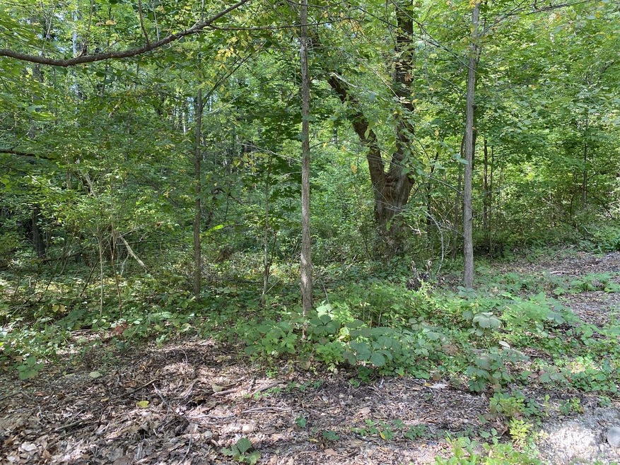 FBF50991-98E4-468C-B1DC-5FFD6BFB4F07