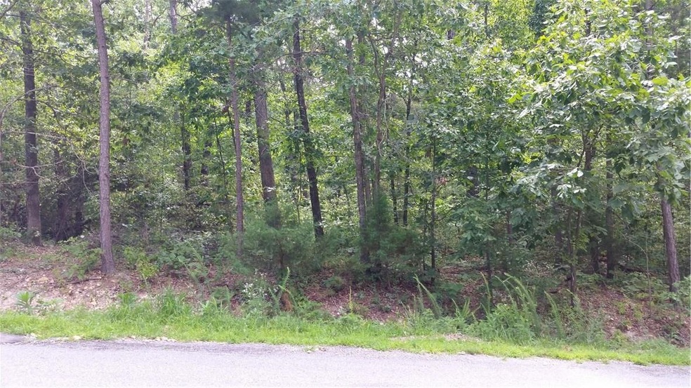 0 White Parish Ln, Bella Vista, AR 72714 - photo 1