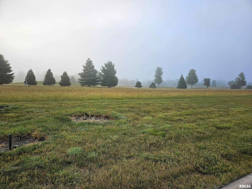 1027 Harmon Ln, Metamora, IL 61548 - photo 1