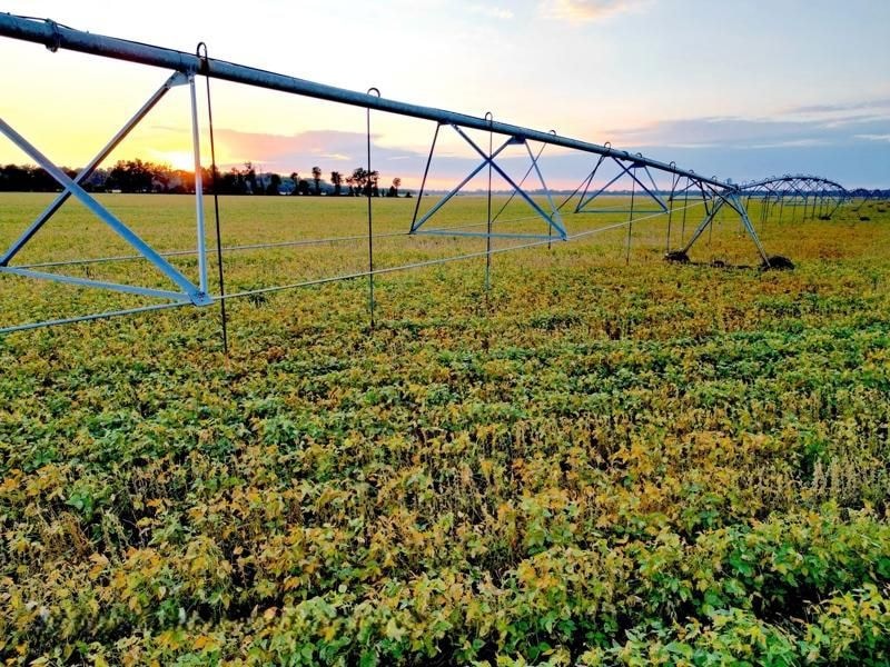 Quebec Rd, Tallulah, LA 71282 - photo 1