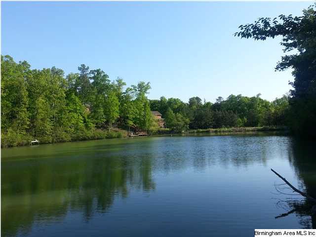 High Hampton Lake - Could be the view from your ba