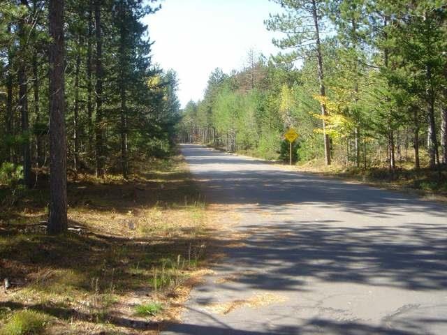 27 & 28 Whitetailed Deer Dr, Tomahawk, WI 54487 - photo 1