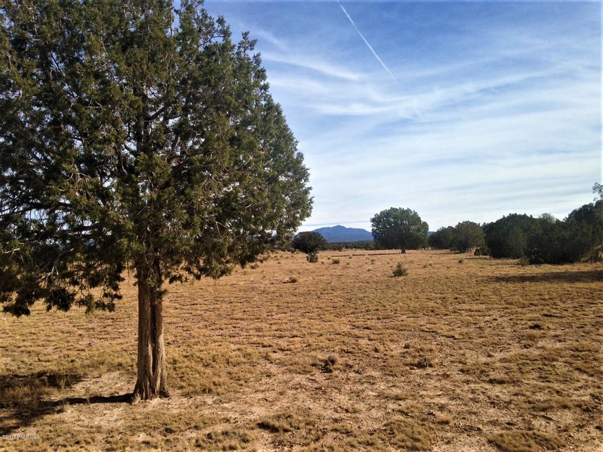 17 Wagon Tree Rd, Ash Fork, AZ 86320 - photo 1