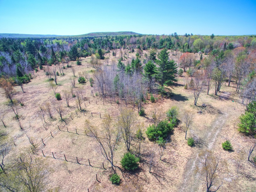 20 Acres in Pigeon River Country