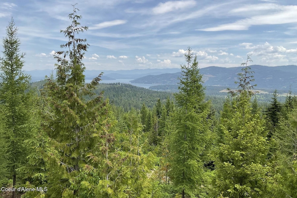 1728 Rugged Trail, Sagle, ID 83860 - photo 1