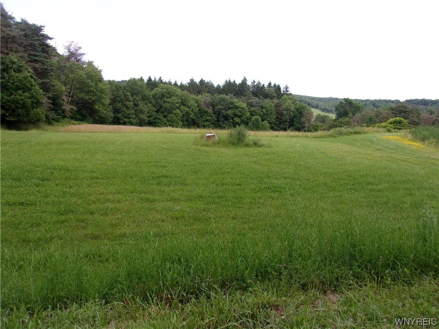 0 VL Java Lake Rd, Arcade, NY 14009 - photo 1