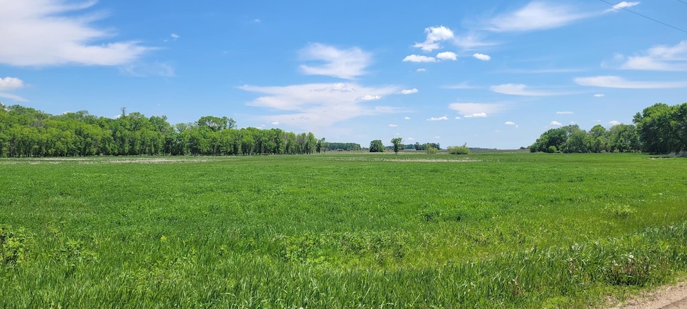 XXX 455th Ave, Arlington, MN 55307 - photo 1