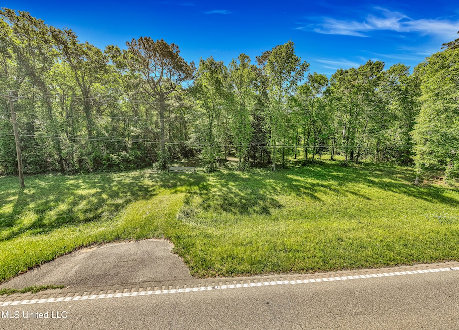 2838 Highway 43 S, Picayune, MS 39466 - photo 1