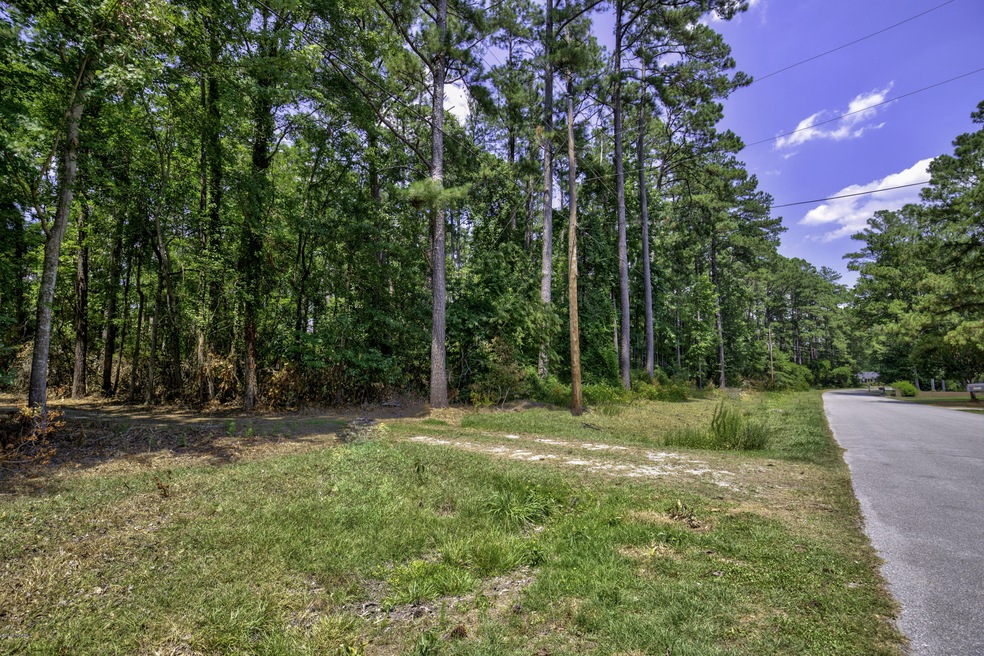 Lot 3 Greenway Dr, Jacksonville, NC 28546 - photo 1