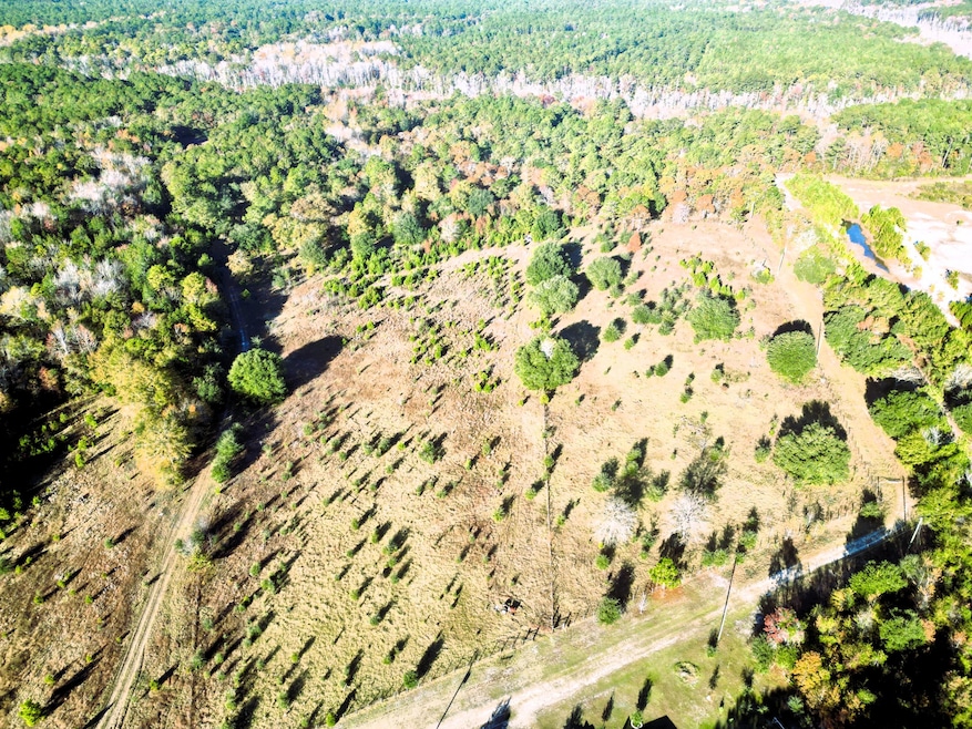 00 Virginia Rd, Dorchester, SC 29437 - photo 1