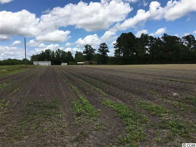 2.8 W Highway 19, Loris, SC 29569 - photo 1