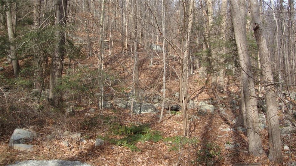 1185 E Mountain Rd S, Cold Spring, NY 10516 - photo 1