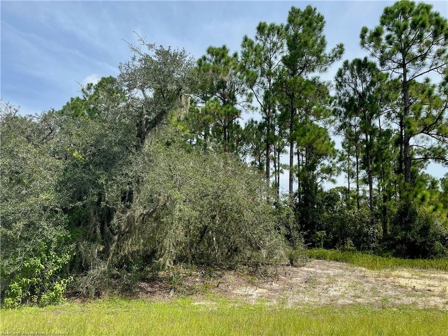 384 Sunshine Ave, Lake Placid, FL 33852 - photo 1