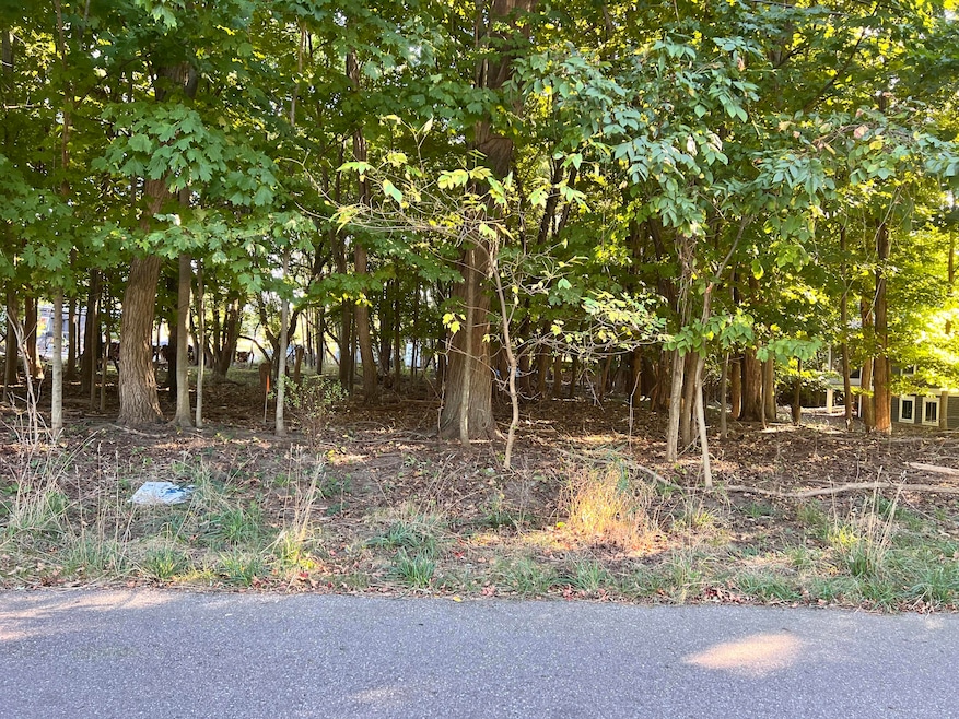 IMG_6937