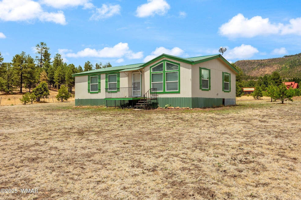 42765 U S 180, Alpine, AZ 85920 - photo 1