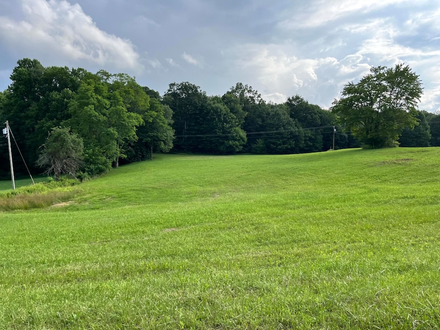 772 Leivasy Rd, Nettie, WV 26681 - photo 1