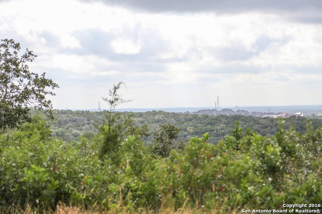 8806 Terra Mont Way, San Antonio, TX 78255 - photo 1