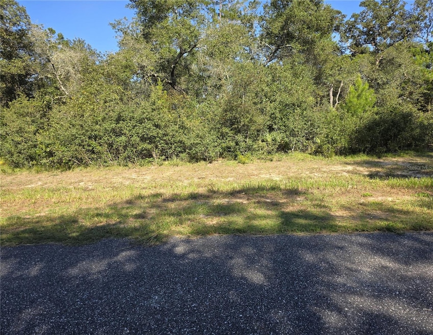 0 SW 21 Ln unit MFROM709603, Ocala, FL 34473 - photo 1
