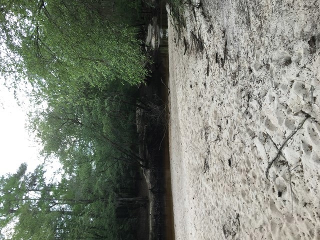 Main View