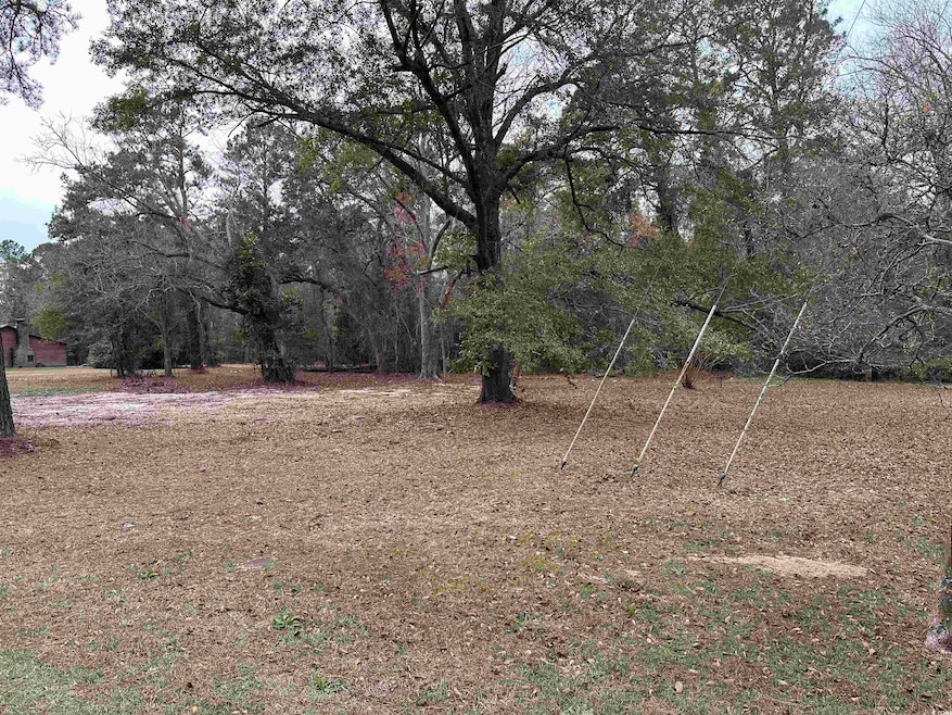 2883 E Highway 19, Conway, SC 29526 - photo 1