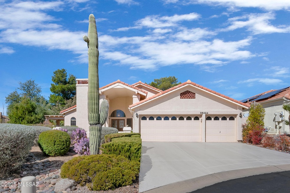 38424 S Apache Peak Dr (1 of 1)-31