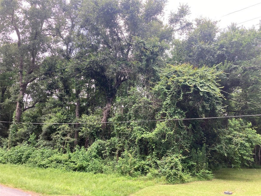 27 County Road 431, Dayton, TX 77535 - photo 1