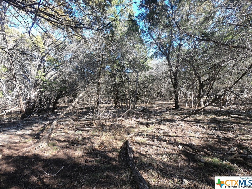 5494 Cliff Ln, Temple, TX 76502 - photo 1