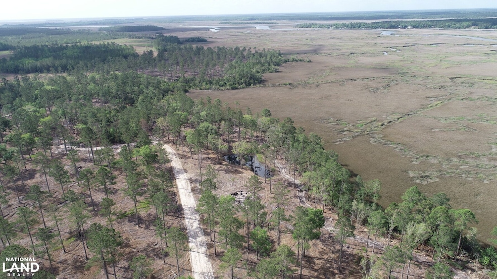 3009 Horse Stamp Church Rd, Waverly, GA 31565 - photo 1