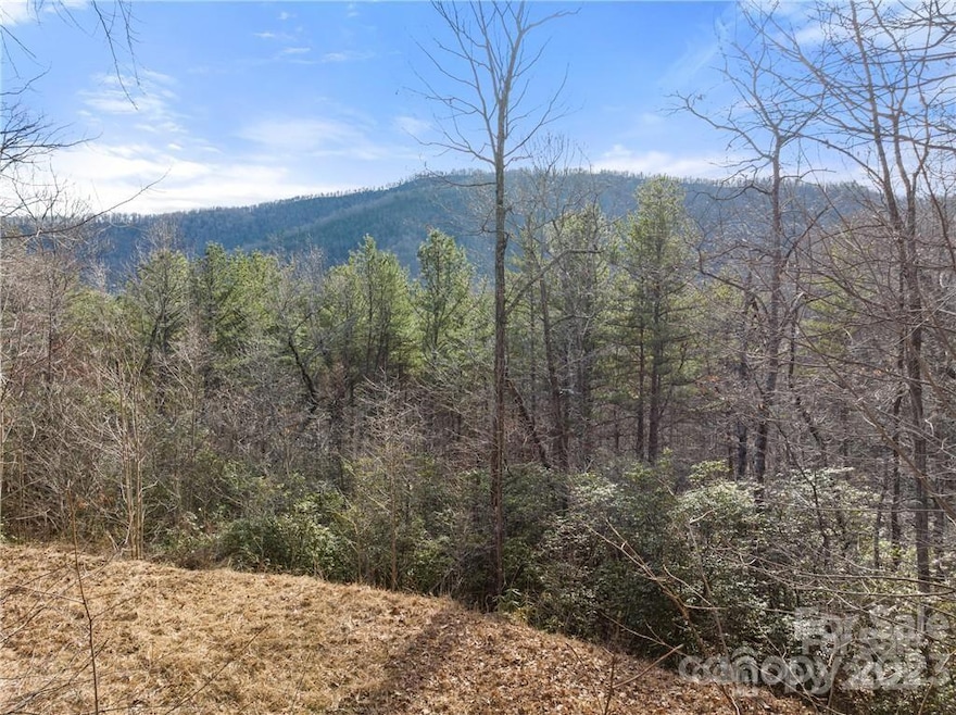 28 Trillium Ln unit C-1, Black Mountain, NC 28711 - photo 1