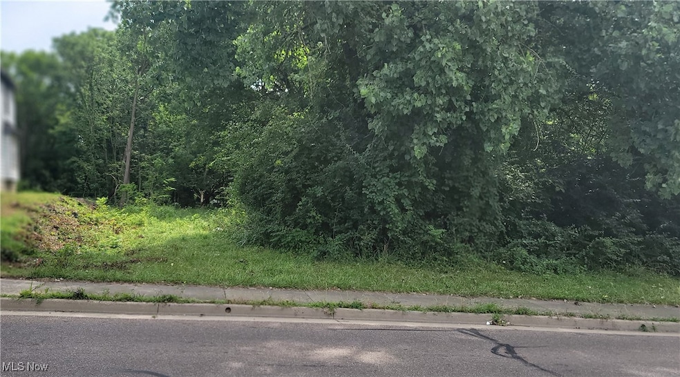 0 East Ave, Akron, OH 44320 - photo 1