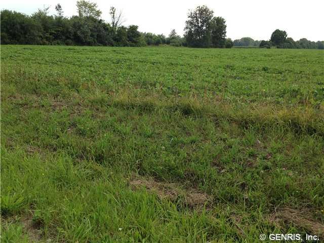 Land/Lot