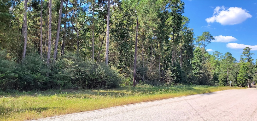 0 Cougar Ct, Huntsville, TX 77340 - photo 1