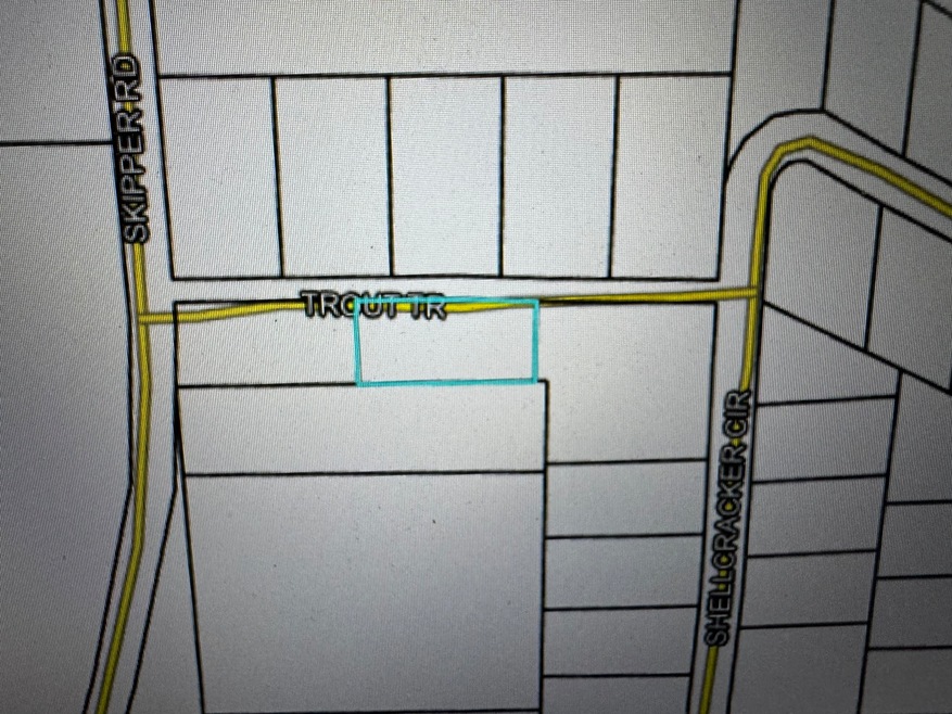 4943 Trout Trail, Vernon, FL 32462 - photo 1