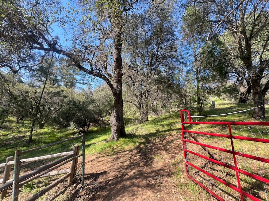 18907 Shake Ridge Rd, Sutter Creek, CA 95685 - photo 1
