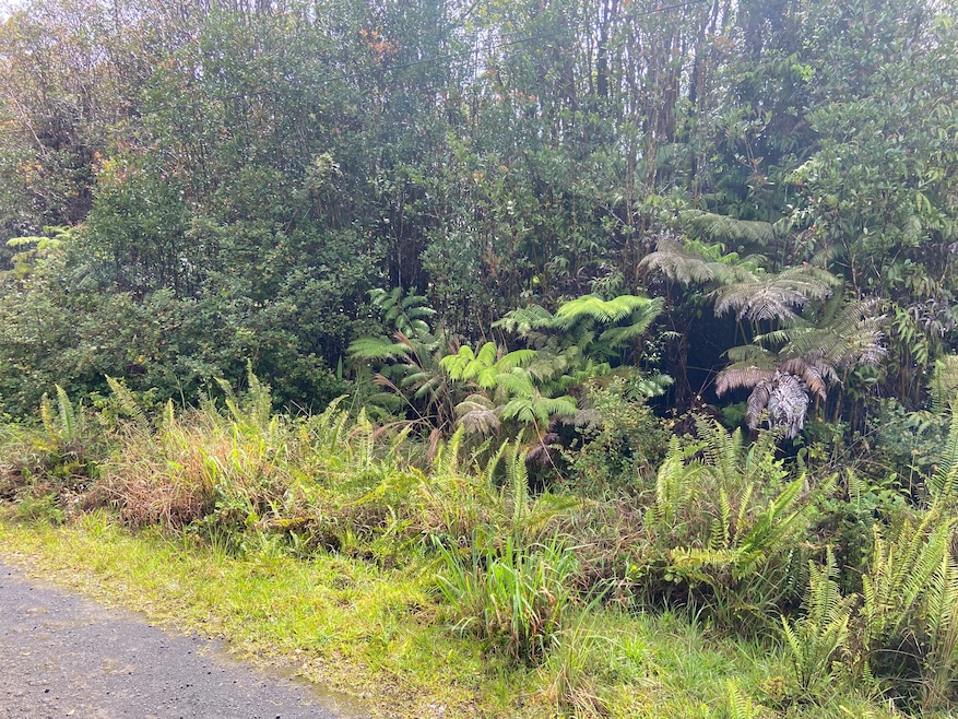 0 Road 4 unit 724078, Volcano, HI 96785 - photo 1