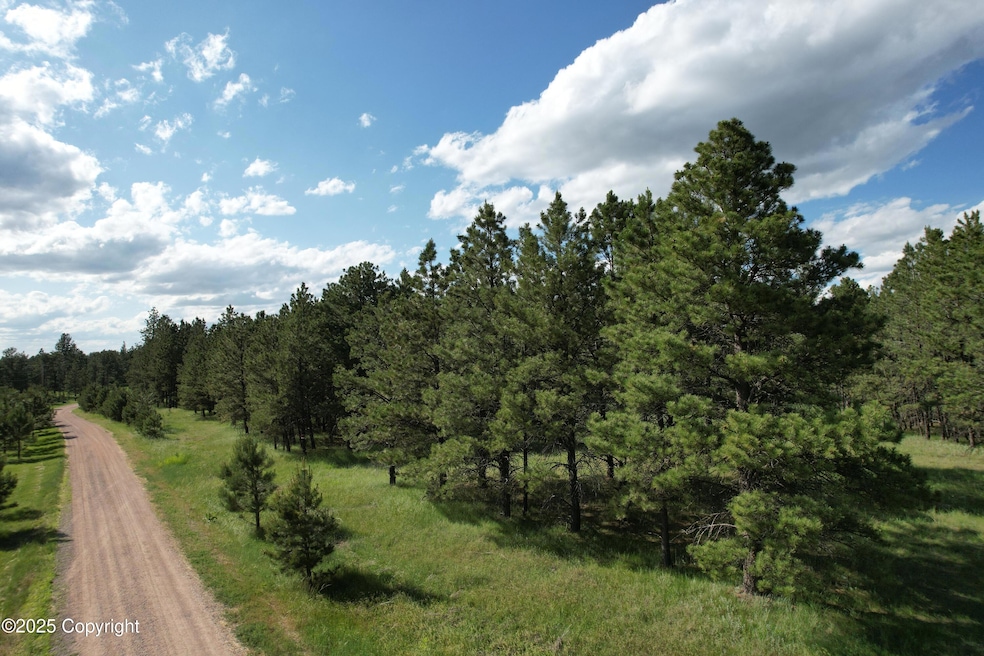 Southern Boundary