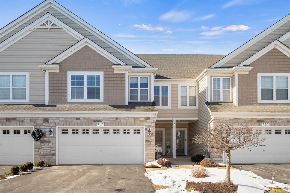 265 Wolverine Dr, Oswego, IL 60543 - photo 1