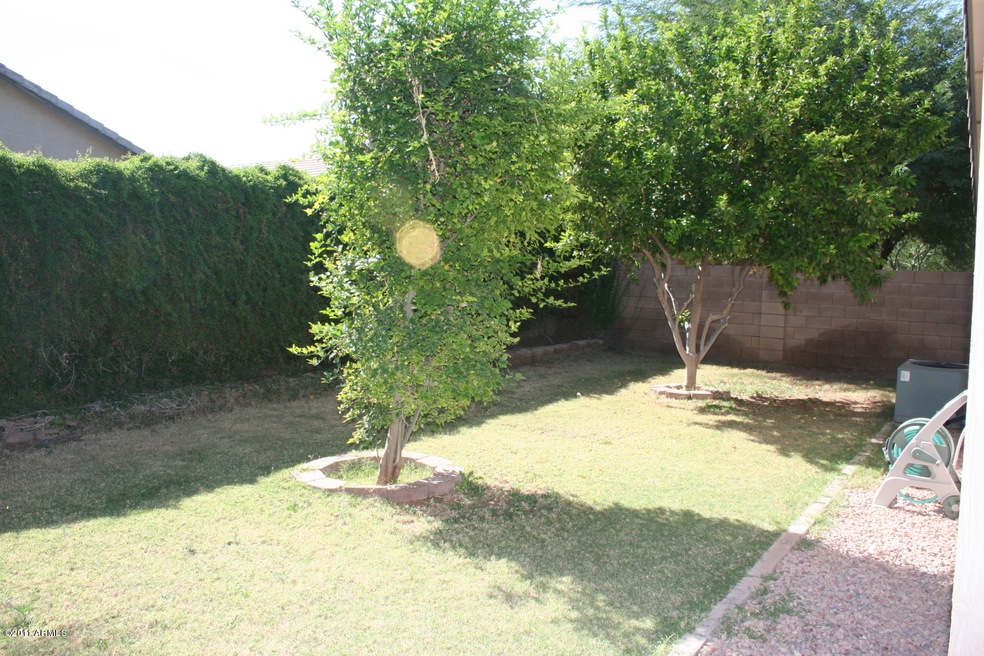 Backyard 1